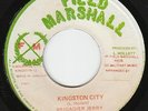 Brigadier Jerry - Kingston City - KILLER ROOTS