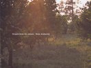 OREN AMBARCHI Grapes from the Estate 2LP PURPLE VINYL Southern Lord DRONE Touch