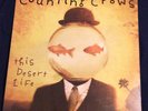 Counting Crows This Desert Life vinyl LP