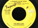 Soul 45   Mad Lads   I Forgot To Be Your Lover   Volt   mp3