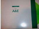 SPIRITUALIZED Songs in A & E 2LP GREEN VINYL 180 gram Mint / Unplayed