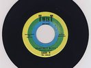 SUPER RARE WHITE DOO WOP 45 THE CLASSIC IV  HEAVENLY BLISS  TWIST 1004
