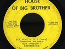Funk Soul 45   Roy Roberts Experience   Bee Hive   House Of Big Brother   mp3