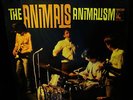 SEALED 1966 ORIG STEREO   THE ANIMALS   ANIMALISM Garage ZAPPA R&B BEAT BURDON