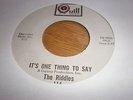 45 RIDDLES  - IT'S ONE THING TO SAY (QUILL116) RARE & EXCELLENT GARAGE / TEENBEA