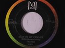 rare Soul 45 DELLS stay in my corner VEE-JAY Listen