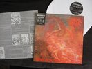 Morbid Angel-Blessed Are The Sick,Vinyl-LP,First Press'91 mit Textblatt MOSH 31