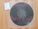 LP - METALLICA ROAMING IN ITALY PICTURE DISC VINYL