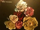 Deftones Vinyl Box Set