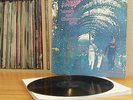 Ancient Grease - Women & Children First LP **UK 1st Press Mercury 1970** MINT-