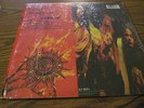 ALICE IN CHAINS - DIRT - LP - RARE nirvana biohazard  1992 NM LP  R