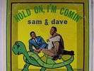 SAM and DAVE 