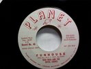 DICK ROSS AND THE ROYAL COUNTS  RARE SURF ON PLANET