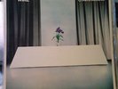 Wire Chairs Missing LP Vinyl Record Album