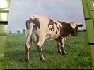 Vinyl Record LP - Pink Floyd Atom Heart Mother - Rare, Low Price, More Listed