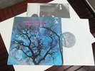 AMON DÜÜL II PHALLUS DEI + INSERT ORIG. LP IN MINT KRAUTROCK PSYCHEDELIC MONSTER