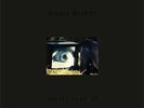 ROGER WATERS Amused To Death   2x 200g  Vinyl LP  limited ed   ovp sealed