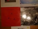 5x LP - Alben Rush (A show of hands/Hold your fire/Presto/Signals/Grace under..)