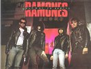 RAMONES - HALFWAY TO SANITY....SIGNED.....PUNK