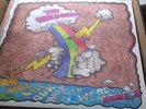 UNICORNS Who Will Cut Our Hair When We're Gone LP pink vinyl