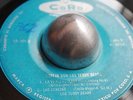LOS TEDDY BEARS i saw her standing there MEXICO listen GARAGE 1964 pre-los ovnis