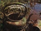 ROOSEVELT HOLTS Presenting The Country Blues 1968 RARE or. UK lp BLUE HORIZON