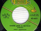 ANDY ANDERSON & Dawnbreakers Gimme Lock A Yo Hair Tough ROCKABILLY 45 HEAR BB007