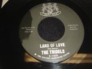 The Tridels Land Of Love / Image Of My Love 45 R&B San-Dee 1008 VG+ Doo Wop