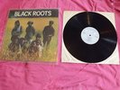 BLACK ROOTS BLACK ROOTS KICK 1983  KIC LP02  A-1 B-1 ( SOUNDS NICE)FIRST PRESS