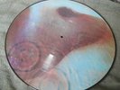 Pink Floyd - Meddle PICTURE DISC LP MINT Unplayed