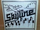 Skyline - 80's Local Private Louisiana Funk Boogie Modern Soul LP