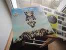 FRATERNITY OF MAN 1968 MINT STONED FUZZ PSYCH GARAGE 