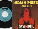 SEAFRUIT * Indian Priest * Belgian Dark Acid PSYCH FREAKBEAT 45 * INJUN JOE *