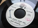 BRUCE JOHNSON soupy shuffle stomp moon shot DONNA promo BEACH BOYS garage surf 7
