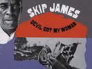 Skip James - Devil Got My Woman Vinyl UK LP