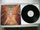 Cynic   -   Focus