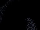 2-LP Vinyl - METALLICA - Black Album Snake - 1991 - Original 1. Press - RARE