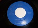 THE SOUND INVESTMENT:  N. Soul ASK THE LONELY / HAPPY SONG VG++