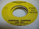 HEAR Garage Psych Promo New Jersey 45 THE LOVED ONES Surprise, Surprise (For Yo