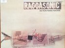 RAGGASONIC FAUT PAS ME PRENDRE POUR UN ANE 12