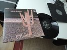 INDIAN SUMMER SAME LP 1971 IN MINT 1ST UK NEON MONSTER