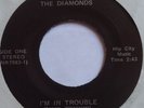 THE DIAMONDS   PRIVATE garage OHIO? 45   SUPER RARE   HEAR IT  beatles 