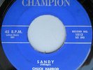 CHUCK HARROD & the ANTEATERS They Wanna Fight b/w Sandy ROCKABILLY 45 BB03 HEAR