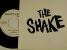 THE SHAKE Michigan power pop 45 w/ps I GOT MY EYE ON YOU / CTA   WHAT'S LEFT M-