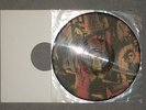 SLAYER - Reign in Blood PICTURE LP Vinyl 1986