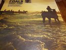 FOALS Holy Fire 180gm Vinyl LP w/ Bonus GOLD 7