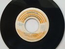 HORACE MARTIN - AFRICA IS CALLING // ROOTS RADIX - AFRICAN CONNECTION / MUSICAL