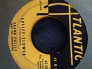 Frank Culley- Culley-Flower- yellow Atlantic- R&B Original- RARE