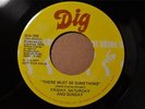 FRIDAY SATURDAY AND SUNDAY Dig 296 THERE MUST BE SOMETHING / POTATO SALAD Hear