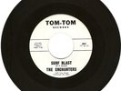 RARE SURF GUITAR INSTRUMENTAL ROCKER- THE ENCHANTERS- 